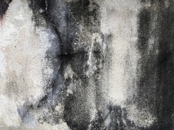 Black mold or black stains on concrete surface. Black and white weathered cement wall for background and texture. (close up, space for text)