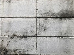 Concrete block wall with black mold or black stains on concrete. Black and white weathered outdoor wall fence surface for background and texture. (background for design, space for text)