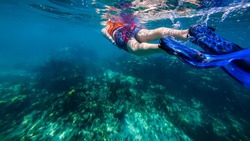 A snorkeler swimming along the water surface looking at some coral in the beautiful tropical blue Mexican ocean near Riviera Maya on vacation.