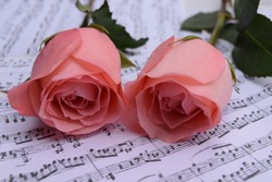 Two pink roses on sheet music. 