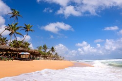 Beach in Hikkaduwa, Sri Lanka. Beautiful tropical beach with great waves for surfing. Beach bars and palm trees with coconuts on beach in Hikkaduwa, Sri Lanka.