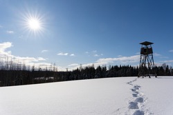 White snowy landscape of Latvia in winter where you can see a large field that has reached with deep white fluffy snow and on it stands a large hunting tower built of wood