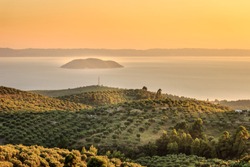 Hazy, golden hour view of olive plantation above the sea and distant turtle island in Greece