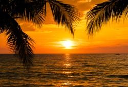 Beautiful sunset tropical beach with palm tree and blue sky for travel and vacation in holiday relax time