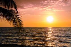 Beautiful sunset over the sea with palm tree on the tropical beach and blue sky for travel in holiday relax time, photo style vintage
