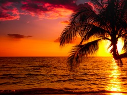 Silhouette of beautiful sunset on the sea beach with palm tree for travel in holiday relax time as summer