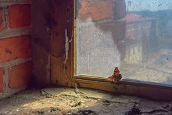 A peacock butterfly sits on the dusty window of an old bell tower. City square on a blurred background. The concept of striving for light.