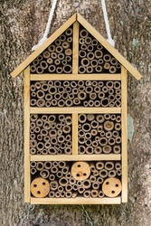 wooden insect house hanging from tree