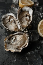 Fresh Oysters close-up on dark background, served table with oysters, lemon and ice. Healthy sea food. Gourmet food. top view
