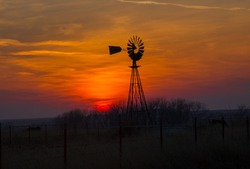 cows grazing below a windmill, on a Texas ranch, with the sun setting in the background. 