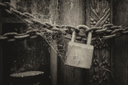 A black and white photo of a lock and a chain on a carved wooden door with spiderweb in a cemetery