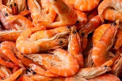 Frozen shrimp. Seafood on the counter. Fish market. Close-up shooting of seafood. Box with shrimp. Photo of shrimp in the supermarket. Wholesale of fish.  Peeled shrimp.