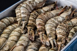 King prawns. Frozen shrimp. Seafood on the market. Fish delicacy. Ocean inhabitants. Tiger and king prawns are packed in a box