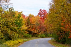 Striking colors of fall foliage on the road near Wellesley Island State Park, New York,U.S.A