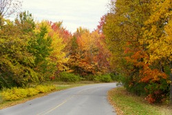 Stunning colors of fall foliage on the road near Wellesley Island State Park, New York, U.S.A