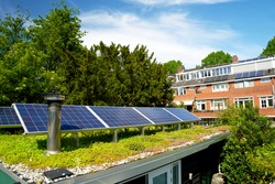 Solar panels on a green roof with flowering sedum plants. Green rooftop garden with renewable solar energy system. Groene daktuin.