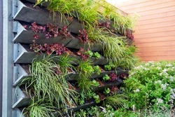 Vertical green wall garden made from recycled waste plastics on behalf of climate adaptation