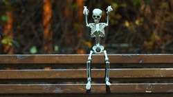 Photograph of a skeleton on the bench in the public park at night. Agressive skeleton toy. He scares passers-by. Natural dark background. Halloween concept.