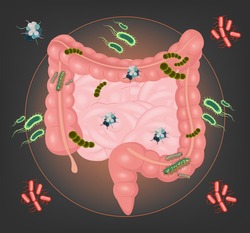 Vector intestines with germs and bacteria illustration
