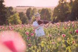 The boy plays the violin in the field of lilac poppies