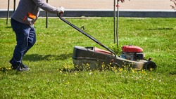 Man gardener mows grass with a lawn mower in a city park
