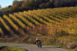 Motorbike riders in colorful vineyards of Langhe Roero Monferrato, UNESCO World Heritage in Piedmont, Italy in autumn season.