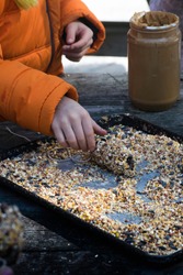 Child Making a Natural Bird feeder out of Peanut Butter and Birdseed