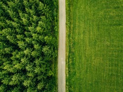 Aerial top view of a country road through a fir forest and a green field in summer in rural Finland