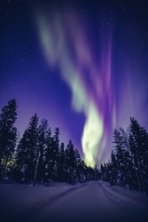 Beautiful purple and green Northern Lights (Aurora Borealis) in the night sky over winter Lapland landscape, Finland, Scandinavia