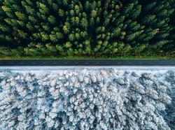 Aerial view of a highway road through the forest in summer and winter.