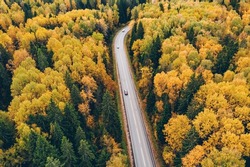 Aerial top view of road with car through fall forest with colorful leaves. Autumn woods, beautiful landscape