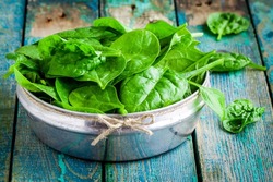 raw fresh organic spinach in a bowl on wooden rustic table