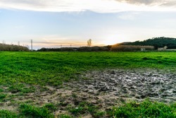 Wet mud puddle in field and sunset