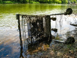 Shopping cart in the river on the shore.