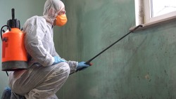A man in a protective suit, glasses and a respirator sprays a disinfectant. Mold remediation specialist in uniform inspects walls and spraying pesticide on damaged wall with sprayer