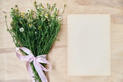 Small camomiles bouquet tied with pink ribbon and beige vintage eco paper sheet on wooden table. Natural background picture of wild flowers. Ecological texture for poems, letters, romantic notes.