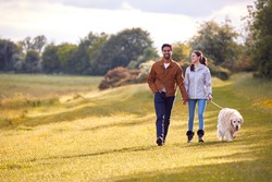 Couple With Pet Golden Retriever Dog Walking Along Path Across Field In Countryside