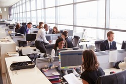 Coworkers at their desks in a busy, open plan office