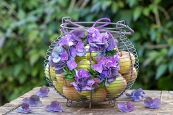 arrangement with wreath of purple hydrangea flowers and box tree and basket with apples
