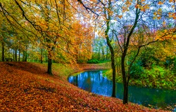 A river in the autumn forest. Forest river in autumn fall. Autumn forest river landscape. River in autumn forest