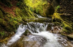 A stream in a mossy forest. Waterfall stream in mossy forest. Waterfall stream on mossy rocks. Mossy rocks waterfall stream flowing