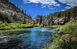 River creek rock in mountain forest background. River rock by forest riverside