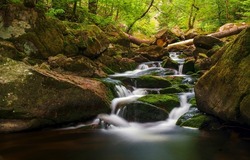 A beautiful stream in the forest. Forest cold creek flowing. River waterfall on mossy rocks. Forest stream of water