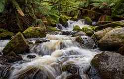 Forest waterfall stream. Waterfall stream on mossy rocks. Forest river waterfall flowing. Waterfall stream flowing