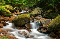 The stream flows over mossy stones. Forest stream flowing. Waterfall stream on mossy rocks. Forest waterfall stream flowing