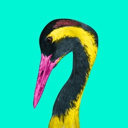 Multicolored crane on a colorful background. An exotic bird with a large beak and a long neck. Collage of contemporary art