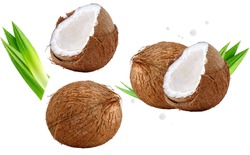 Fresh ripe coconut, coconut half piece with white flesh, palm leaves set closeup isolated on white. Tropical coconut fruits composition with focus stacking. Advertising label design clip art elements