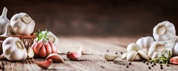 Garlic banner. Garlic bulbs on wooden rustic table in panorama shape. A pile of garlic peeled cloves. 