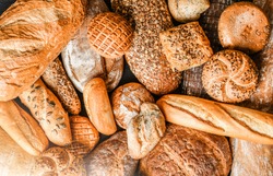 Various kind of bread with wheat top view. White bakery food concept panorama or wide banner photo.