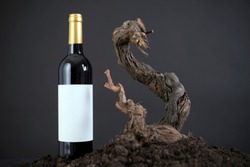 Wine bottle Isolated vine in a Black Background